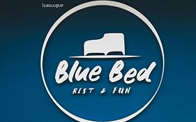 Blue Bed